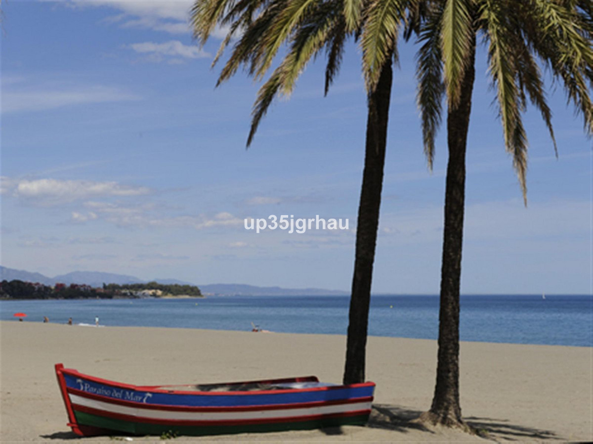 No image available.